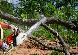 Best Utility Line Clearance  in Sprague, WV